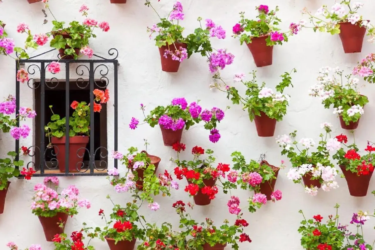 Apartamento El Arcangel De Cordoba 0*,  Spain